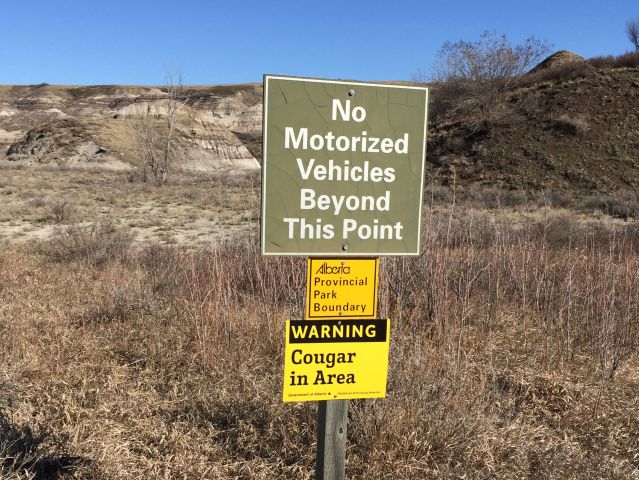 cougar sign