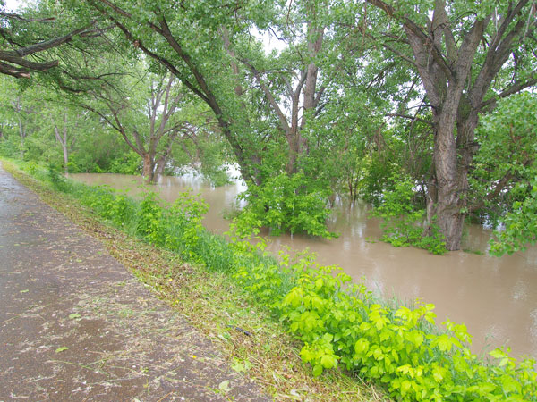 Flood 2013 29