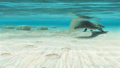 Henderson aquatic-tetrapod