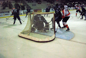 dragons photo oct 23