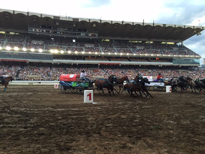 2015 calgary stampede final