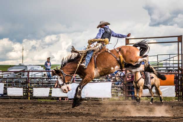 Rockyford Rodeo NASH photo