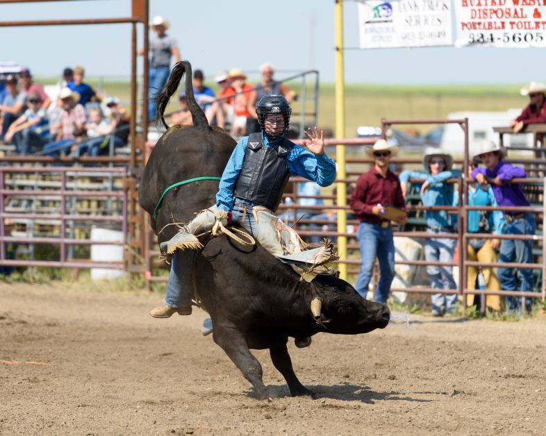 Denny McKinney of New Sarepta, AB., right, competes in the Junior Steer Riding portion of the 60th annual Rockyford Rodeo. 