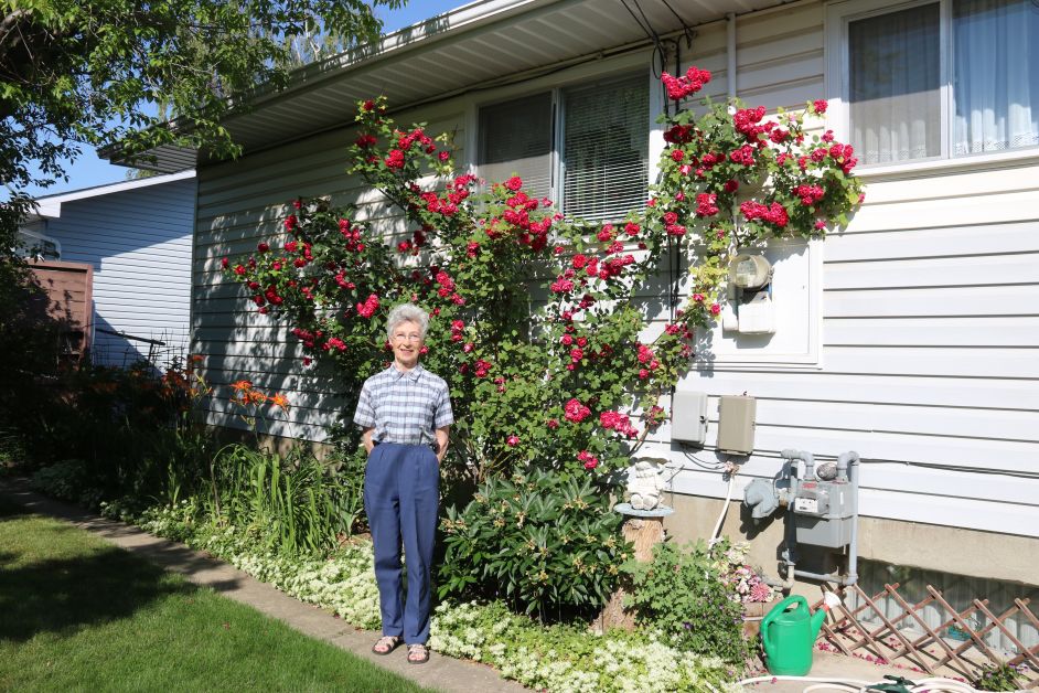Bertha Krause and her roses
