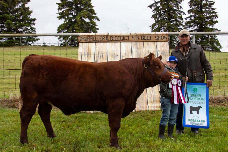 Steer Grand Champion 2611