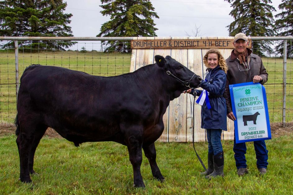 Steer Reserve Champion 2617