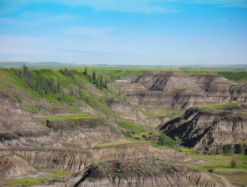 Copy of Copy of Horseshoe Canyon Improvements 2