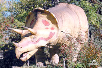 Calgary-zoo-triceratops-statue