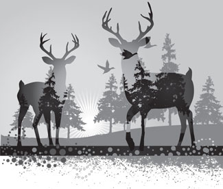 deer-bw-graphic