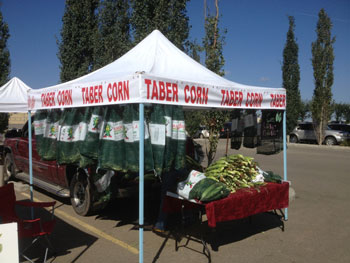 taber corn BOOTH MARKET1