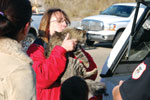 charlie-the-cat-1.jpg charlie-the-cat-1.jpg