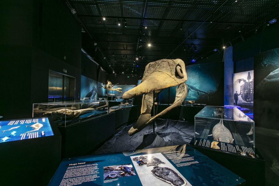 Sea Monsters Exhib Views 3324